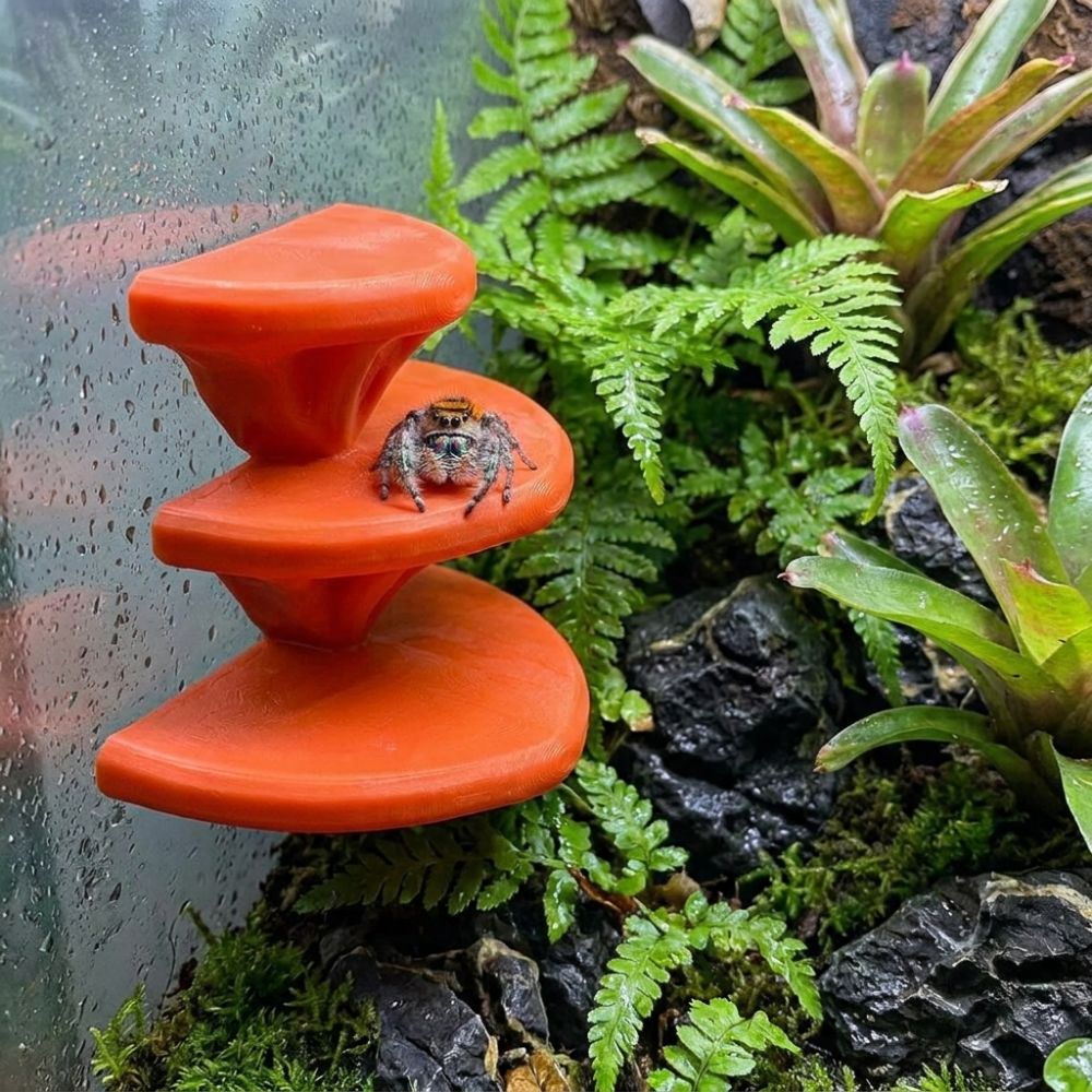 3D Printed Mushroom Shaped Pet - 3D Printing Lizard review and price