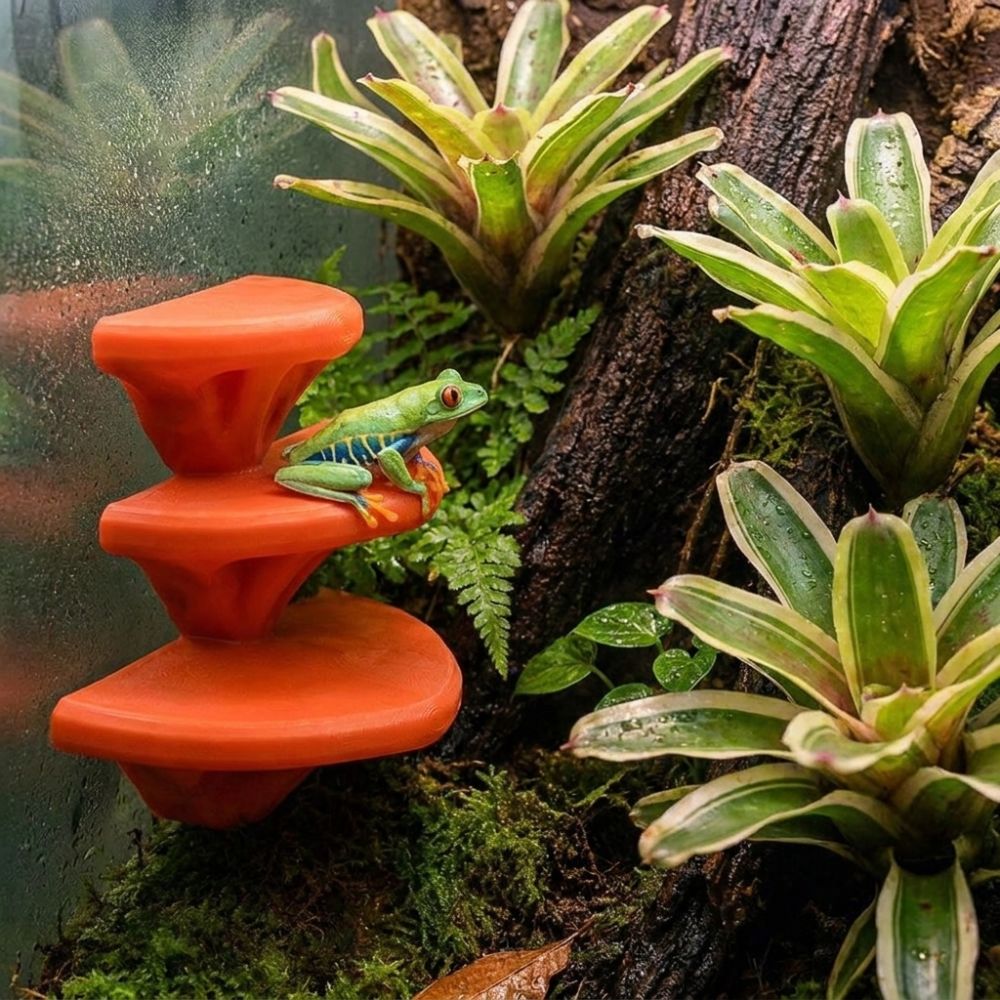 3D Printed Mushroom Shaped Pet - 3D Printing Lizard review and price
